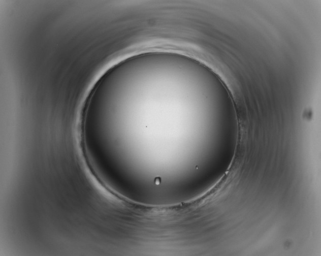 X0000103221531200808281355