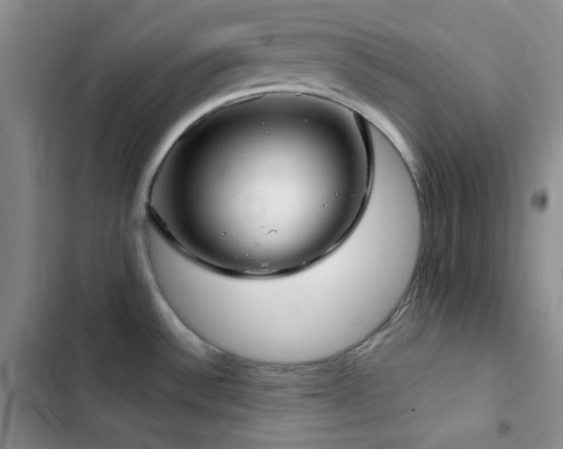 X0000103221532200808281355