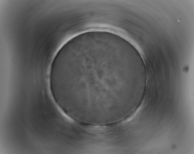 X0000103221533200808281355