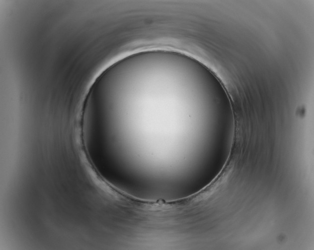 X0000103221534200808281355