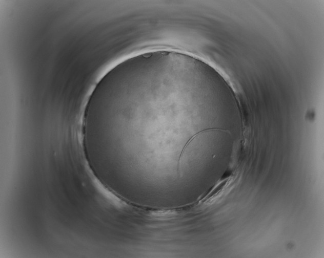 X0000103221535200808281355