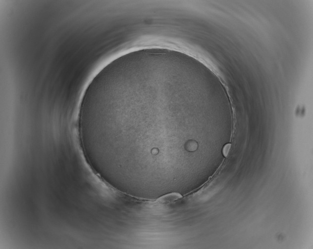 X0000103221536200808281355