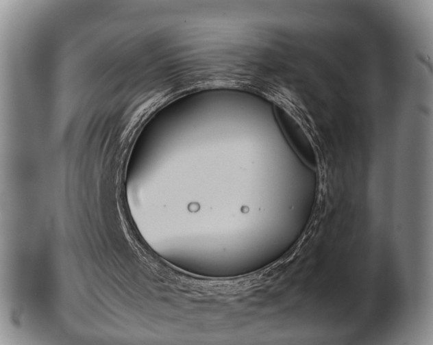 X0000103220001200809041013