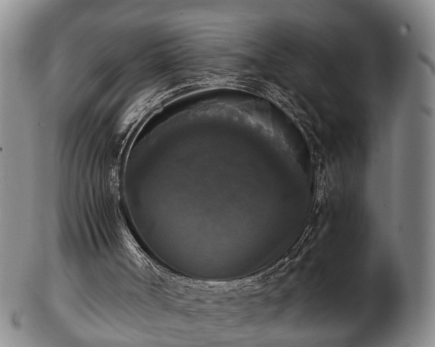 X0000103220002200809041013