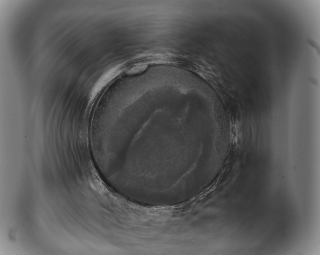 X0000103220004200809041013