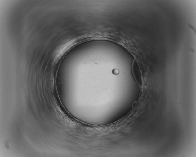 X0000103220005200809041013