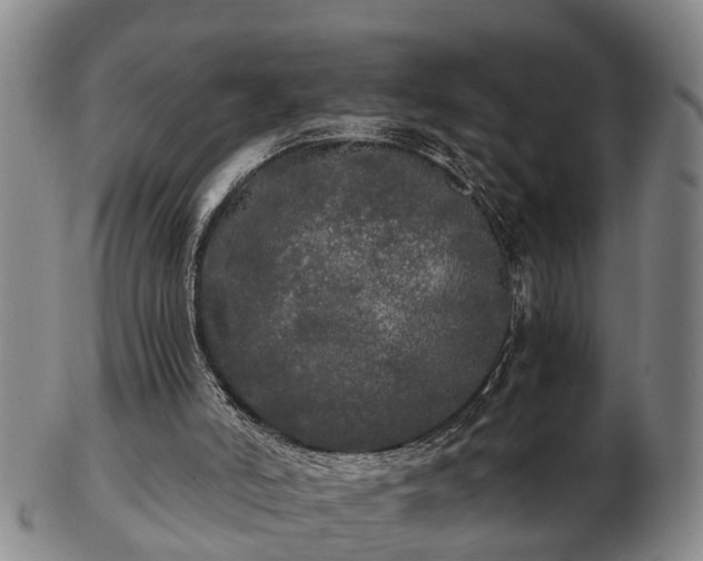 X0000103220006200809041013