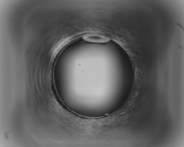 X0000103220007200809041013