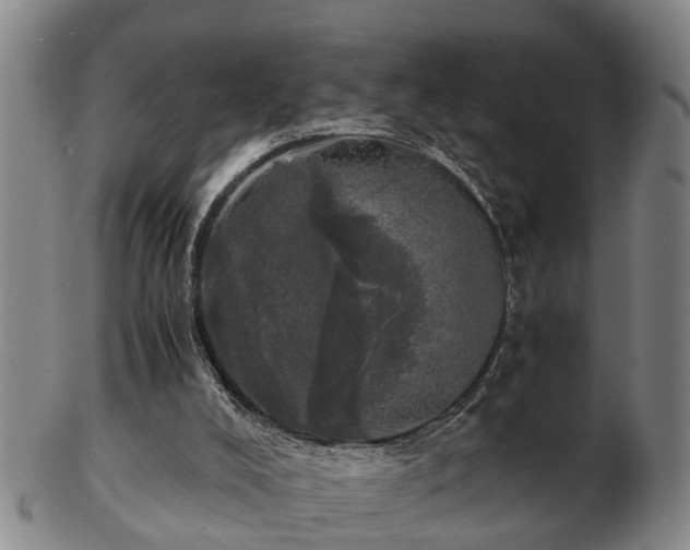 X0000103220008200809041013