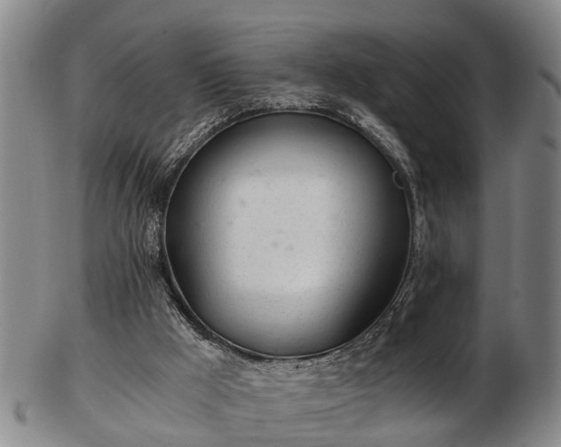 X0000103220009200809041013