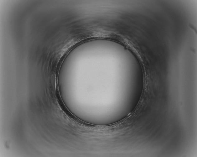 X0000103220011200809041013