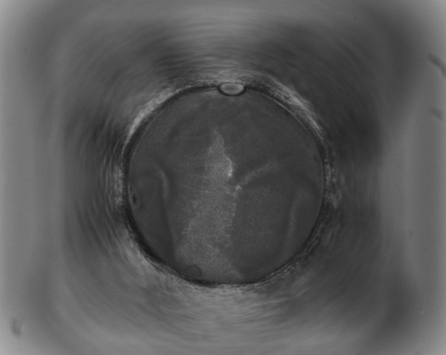 X0000103220012200809041013