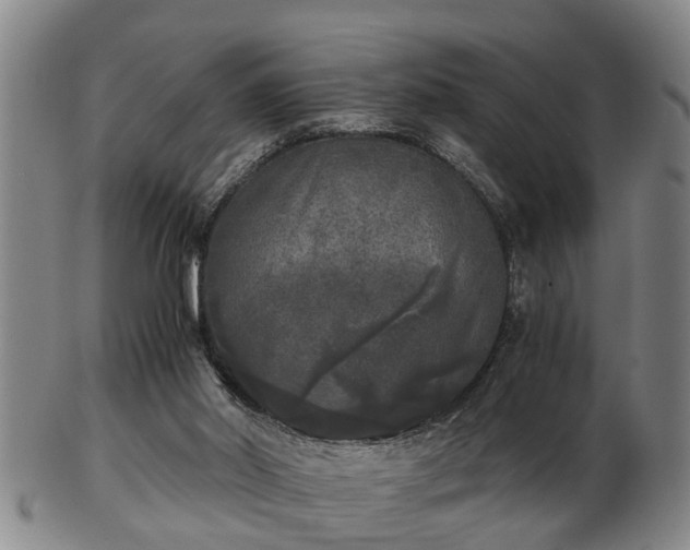 X0000103220014200809041013