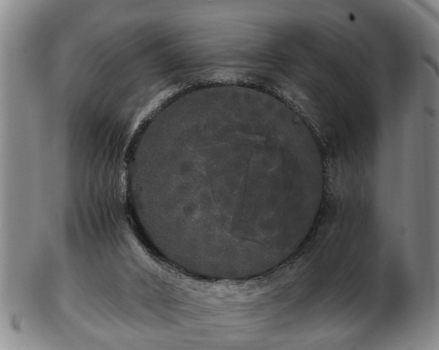 X0000103220016200809041013