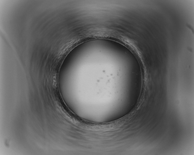 X0000103220017200809041013