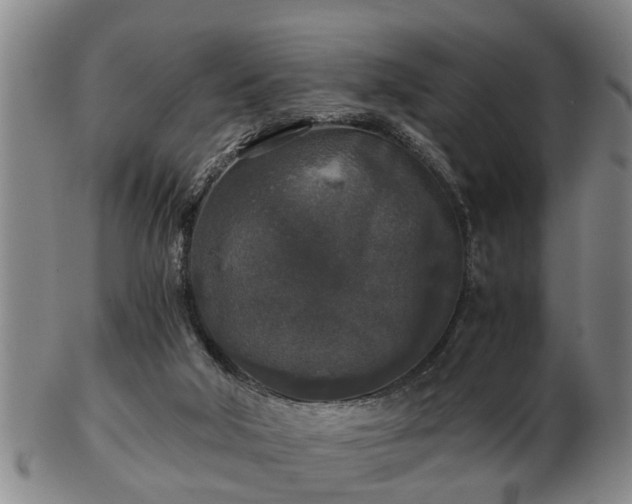 X0000103220018200809041012