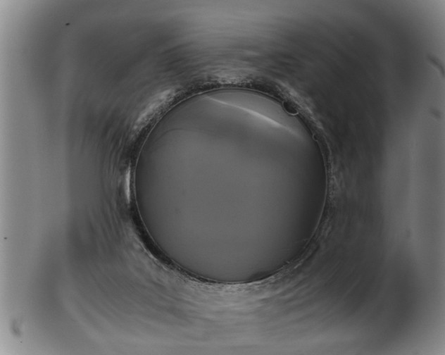 X0000103220019200809041012