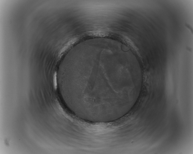 X0000103220020200809041012