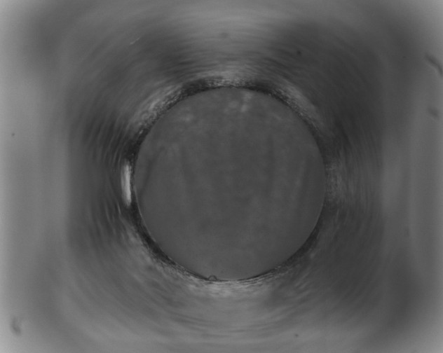 X0000103220022200809041012