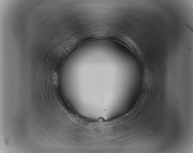 X0000103220025200809041012