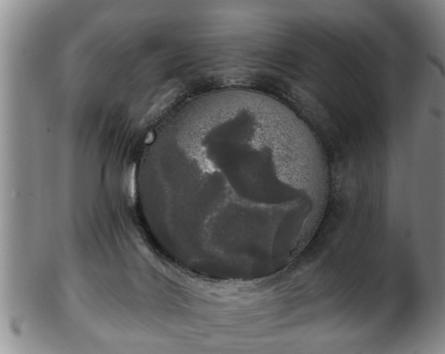 X0000103220028200809041012