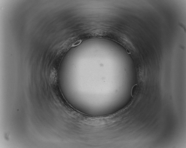 X0000103220029200809041012