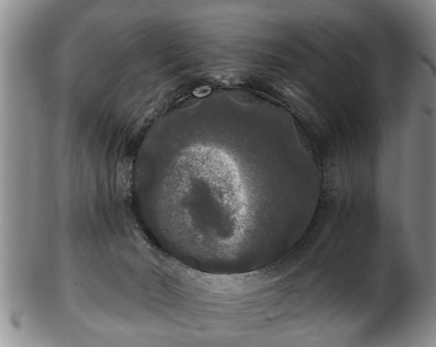 X0000103220030200809041012