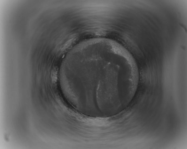 X0000103220032200809041012