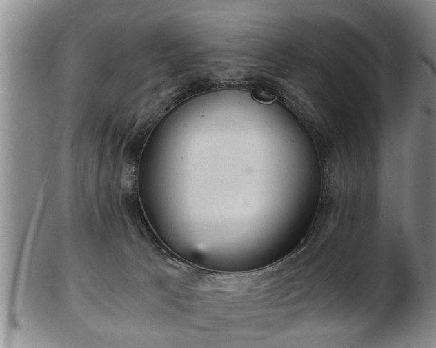 X0000103220033200809041012