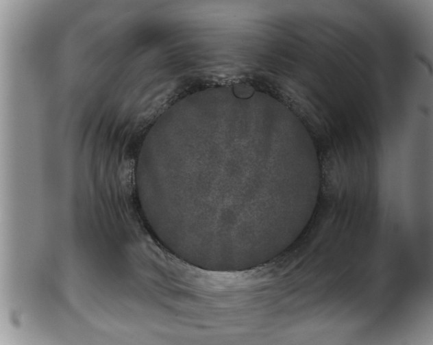 X0000103220034200809041012