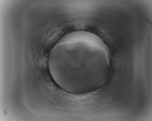 X0000103220035200809041012