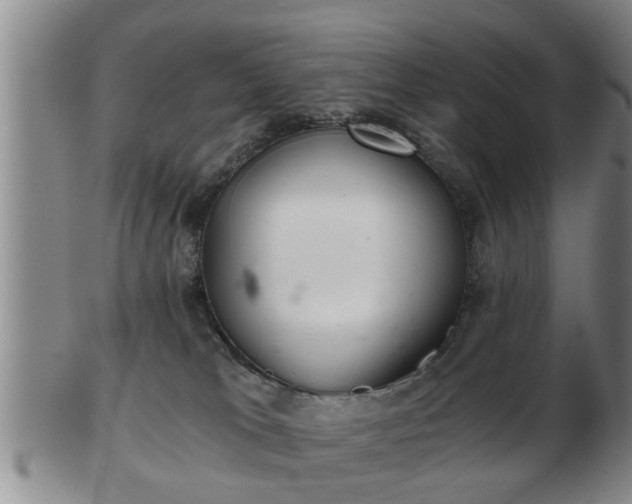 X0000103220037200809041012