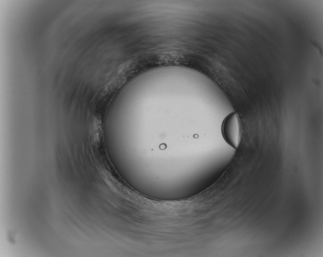 X0000103220038200809041012