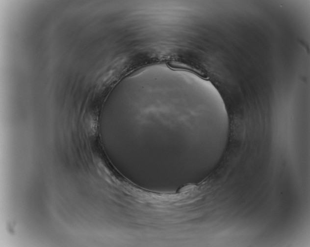 X0000103220039200809041012