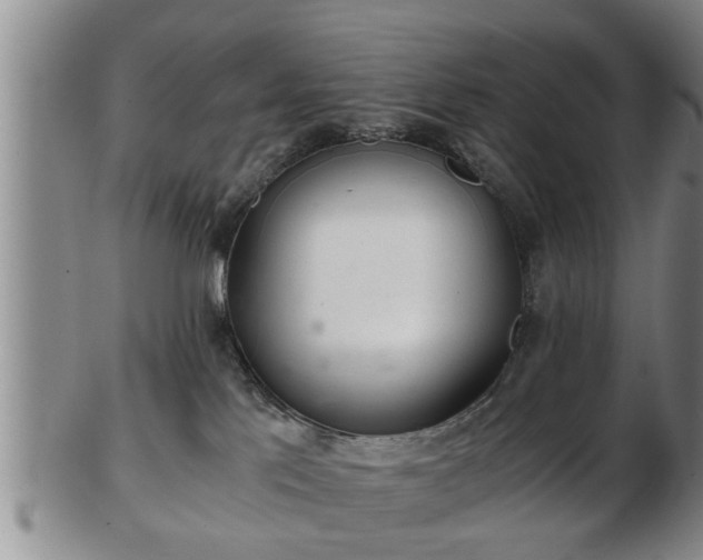 X0000103220041200809041012