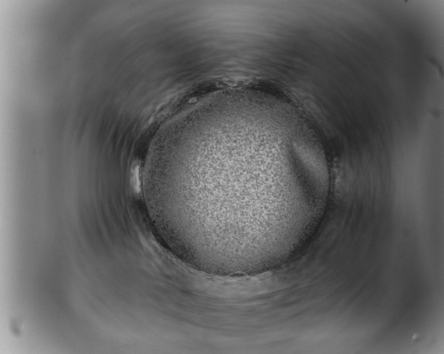 X0000103220042200809041012