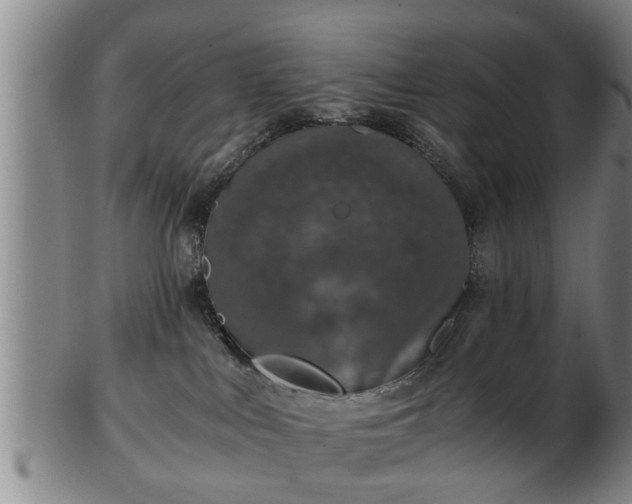 X0000103220043200809041012