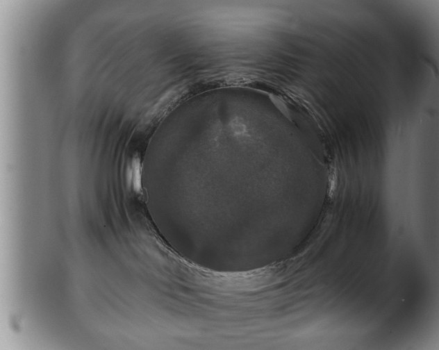 X0000103220046200809041012