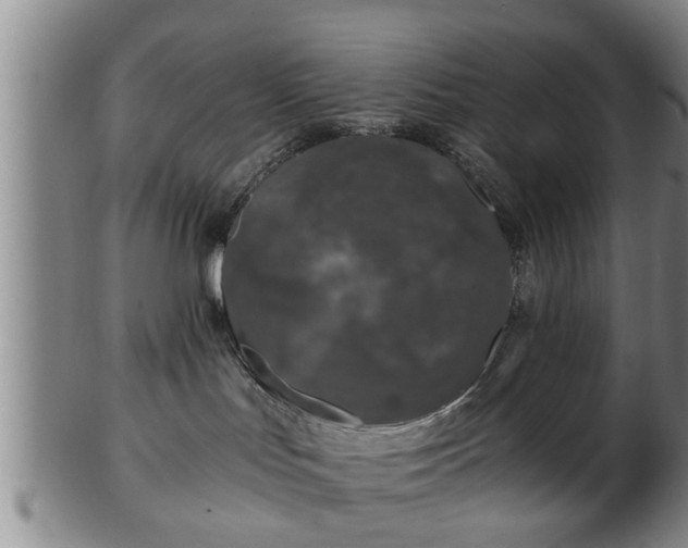 X0000103220047200809041012