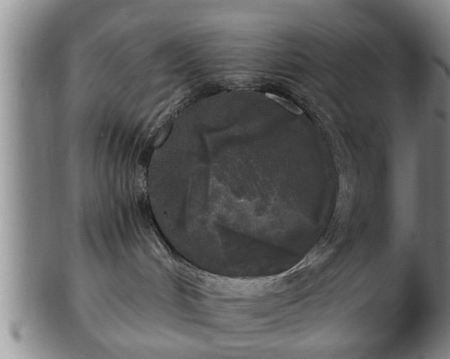 X0000103220048200809041012