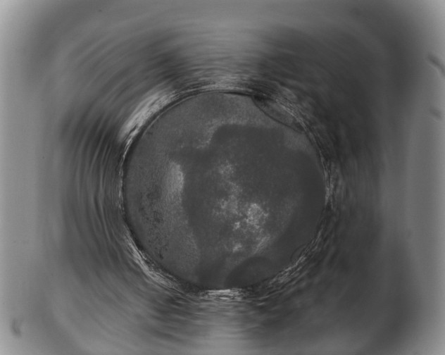 X0000103220050200809041011