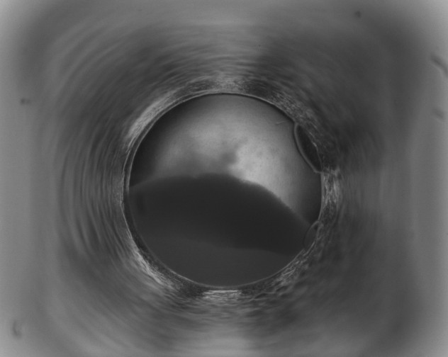 X0000103220051200809041011