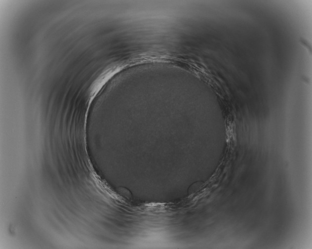 X0000103220052200809041011