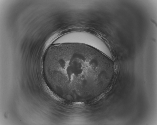 X0000103220053200809041011