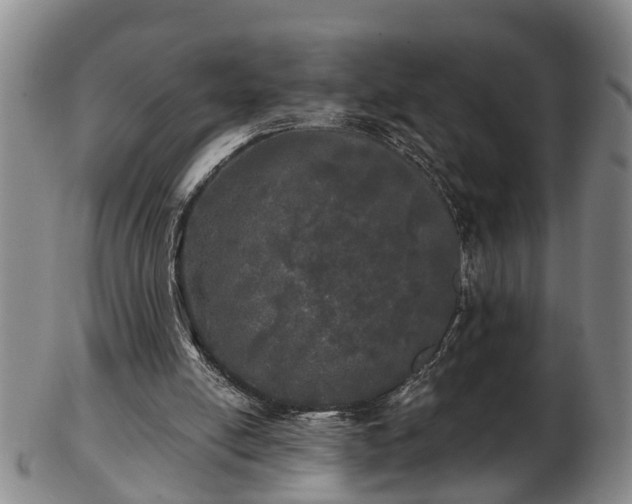 X0000103220054200809041011