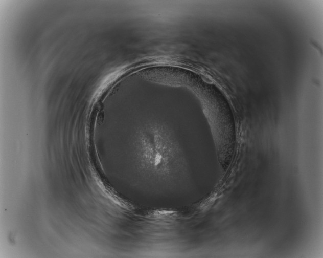 X0000103220055200809041011