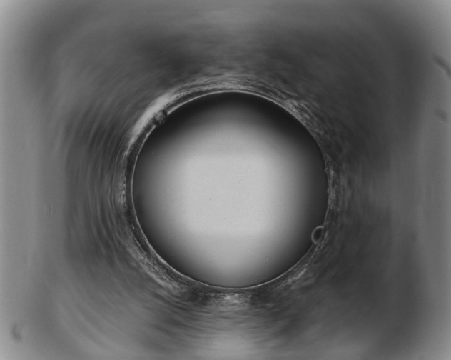 X0000103220056200809041011