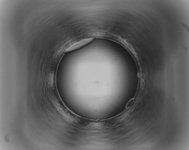 X0000103220057200809041011