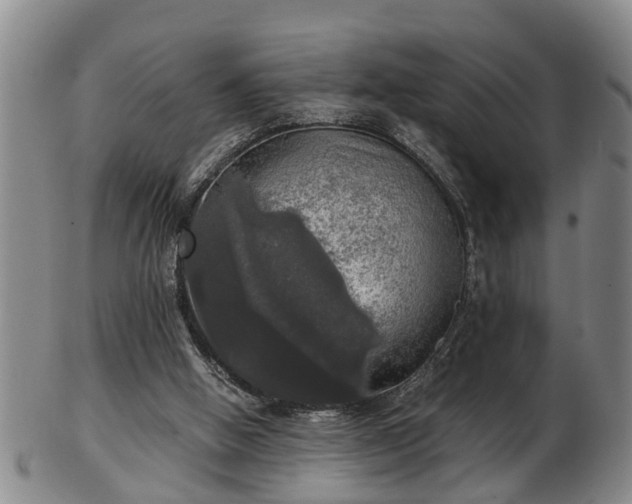 X0000103220058200809041011