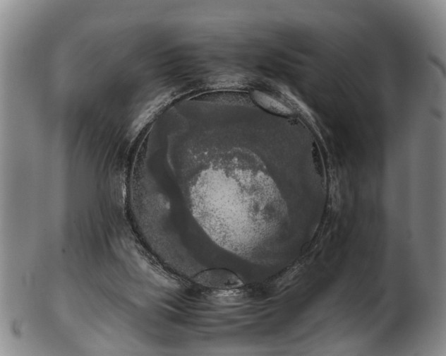 X0000103220059200809041011